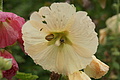 DSC09337 - Bernhard Saalfeld