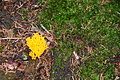DSC09339 - Bernhard Saalfeld