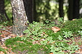 DSC09340 - Bernhard Saalfeld