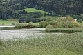 DSC09350 - Bernhard Saalfeld