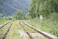 DSC09358 - Bernhard Saalfeld