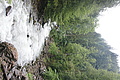 DSC09367 - Bernhard Saalfeld