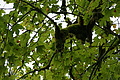 DSC09371 - Bernhard Saalfeld