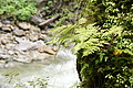 DSC09373 - Bernhard Saalfeld