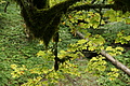 DSC09376 - Bernhard Saalfeld