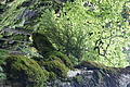 DSC09381 - Bernhard Saalfeld