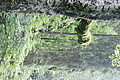 DSC09382 - Bernhard Saalfeld