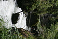DSC09385 - Bernhard Saalfeld