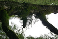 DSC09386 - Bernhard Saalfeld