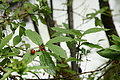 DSC09397 - Bernhard Saalfeld