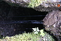 DSC09399 - Bernhard Saalfeld