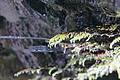 DSC09409 - Bernhard Saalfeld