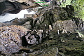 DSC09412 - Bernhard Saalfeld