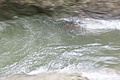 DSC09418 - Bernhard Saalfeld