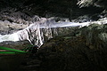 DSC09440 - Bernhard Saalfeld