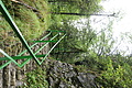 DSC09467 - Bernhard Saalfeld