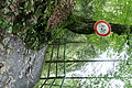 DSC09468 - Bernhard Saalfeld