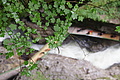 DSC09469 - Bernhard Saalfeld