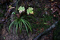 DSC09484 - Bernhard Saalfeld