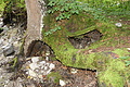 DSC09501 - Bernhard Saalfeld
