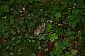DSC09509 - Bernhard Saalfeld