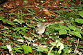 DSC09513 - Bernhard Saalfeld