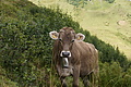 DSC09516 - Bernhard Saalfeld