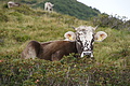 DSC09518 - Bernhard Saalfeld