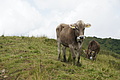 DSC09519 - Bernhard Saalfeld