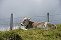 DSC09520 - Bernhard Saalfeld