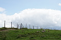 DSC09522 - Bernhard Saalfeld