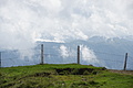 DSC09523 - Bernhard Saalfeld