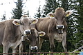 DSC09539 - Bernhard Saalfeld