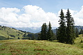 DSC09542 - Bernhard Saalfeld