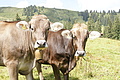 DSC09546 - Bernhard Saalfeld