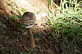 DSC09556 - Bernhard Saalfeld