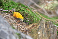 DSC09557 - Bernhard Saalfeld