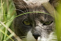 DSC09560 - Bernhard Saalfeld