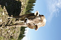 DSC09564 - Bernhard Saalfeld