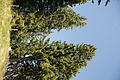 DSC09575 - Bernhard Saalfeld