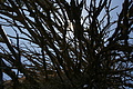 DSC09580 - Bernhard Saalfeld