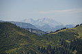 DSC09595 - Bernhard Saalfeld
