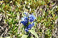 DSC09615 - Bernhard Saalfeld