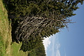 DSC09618 - Bernhard Saalfeld