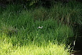DSC09624 - Bernhard Saalfeld