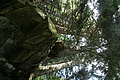 DSC09630 - Bernhard Saalfeld