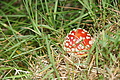 DSC09633 - Bernhard Saalfeld