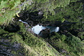 DSC09654 - Bernhard Saalfeld