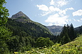 DSC09708 - Bernhard Saalfeld