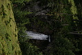 DSC09709 - Bernhard Saalfeld